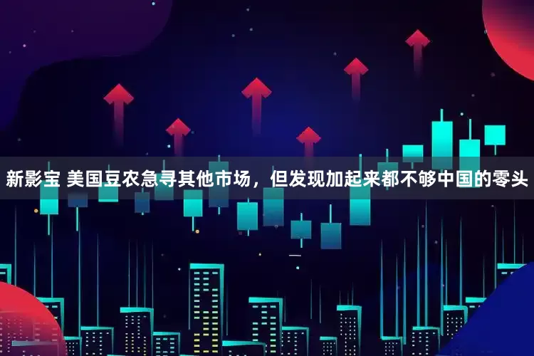 新影宝 美国豆农急寻其他市场，但发现加起来都不够中国的零头